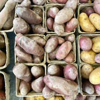 Red Fingerlings