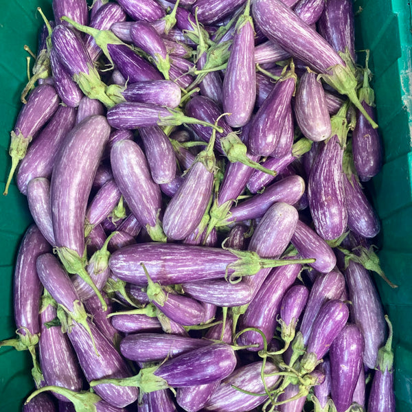 Fairytale Eggplants