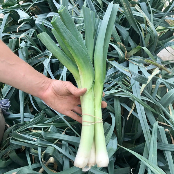 Leeks