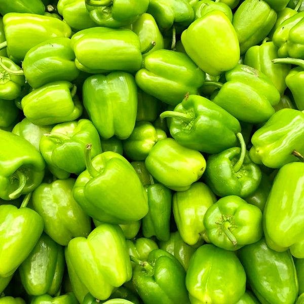 Green Bell Pepper