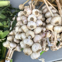 Braided Garlic