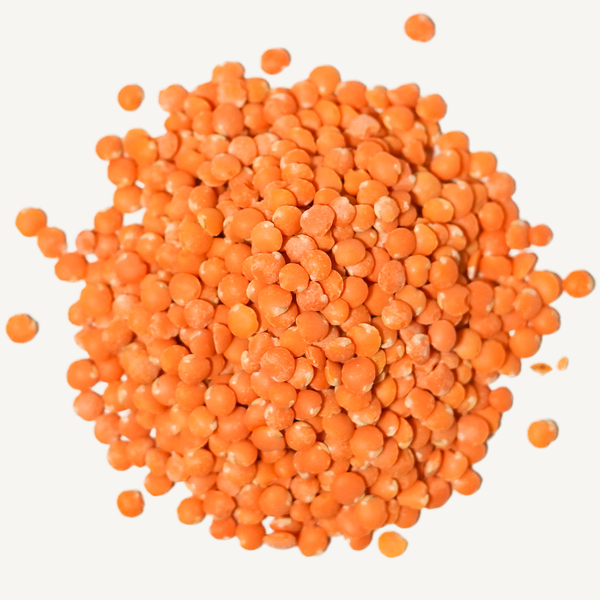 Red Lentils