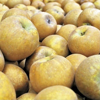 Russet Apples