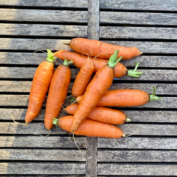 Orange Carrots