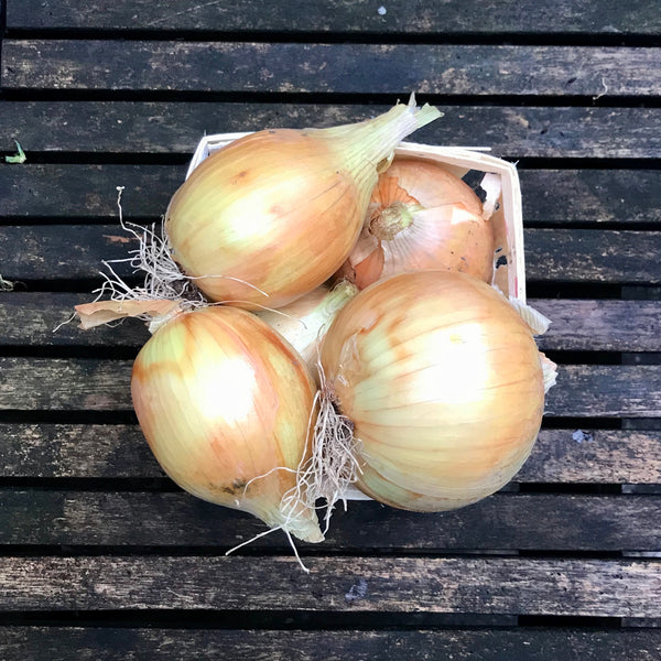 Onions