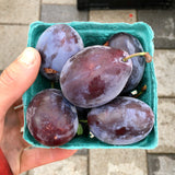 Blue Plums
