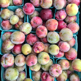 Vampire Plums