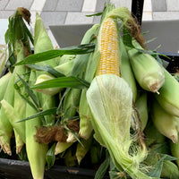 Sweet Corn