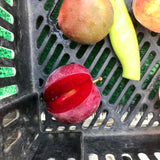 Vampire Plums