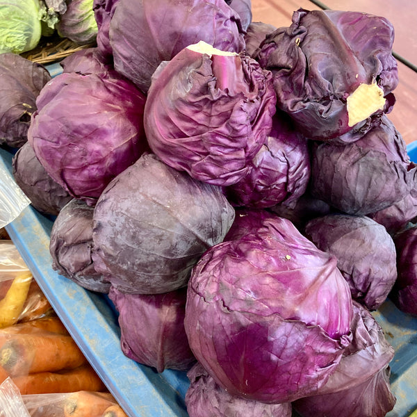 Red Cabbage